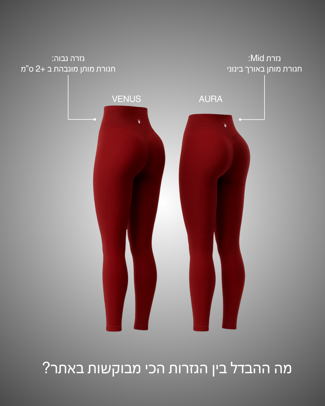 AURA WINE -  טייץ מחטב