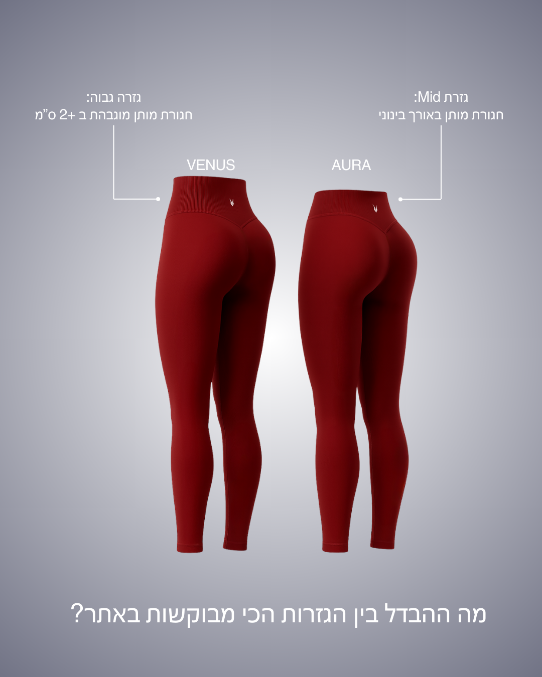 VENUS WINE - טייץ מחטב גבוה